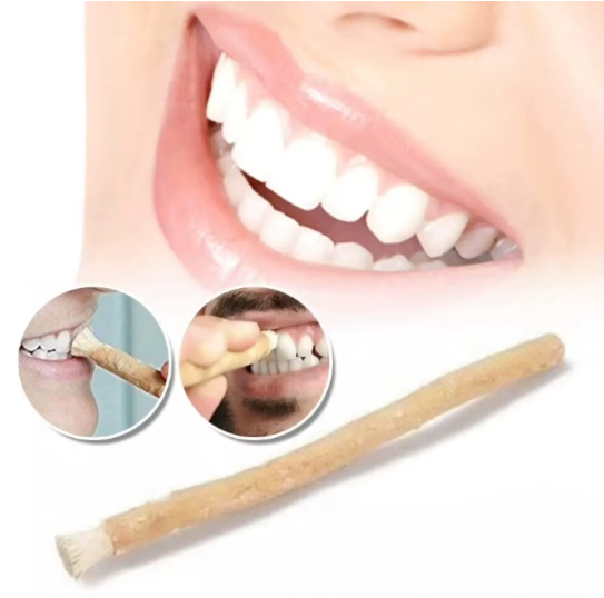 Miswak Natürliche Zahnputz-Stick - 100% Chemiefrei